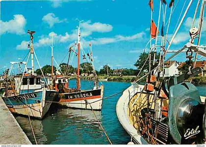 17 - Ile d'Oléron - Boyardville - Le Port - Flamme Postale de Saint Pierre d'Oléron - CPM - Voir Scans Recto-Verso