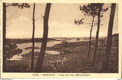 CPA Ile de Brehat Vue de l Ile Beniguet