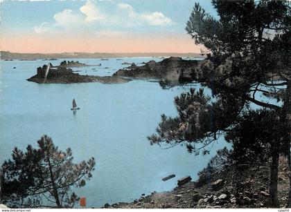 CPM Ile de Brehat La Cote sauvage