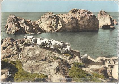CPSM Ile de Bréhat Le Rocher de la Vierge