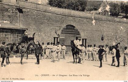 JOIGNY AU 1 ER DRAGONS LES BLEUS A LA VOLTIGE