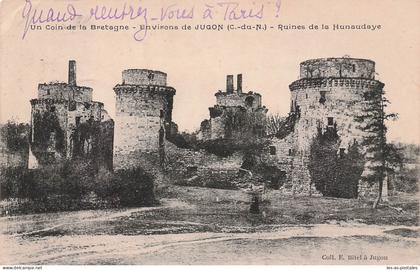 22 JUGON LES LACS RUINES DE LA HUNAUDAYE