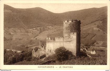 CPA Kaysersberg Le Chateau