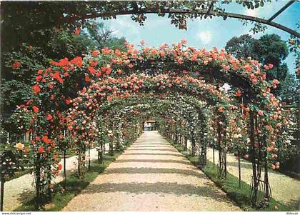 94 - L'Hay les Roses - La Roseraie - Fleurs - Carte Neuve - CPM - Voir Scans Recto-Verso