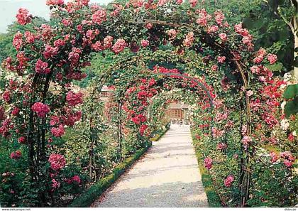 94 - L'Hay les Roses - La Roseraie - Les arceaux - Fleurs - CPM - Voir Scans Recto-Verso