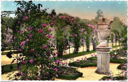 CPA  Carte Postale France L'Haÿ-les-Roses  Roses sélectionnées  1952 VM108964