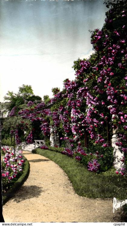CPA Roseraire De L'hay Les Roses Les Arcades