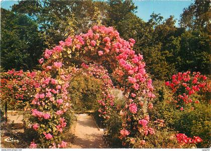 CPM L'Hay les Roses (Val de Marne) La Roseraie