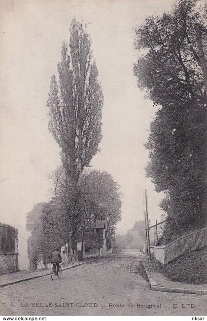 LA CELLE SAINT CLOUD(ARBRE)