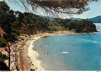 Carte Postale - 13 - La Ciotat - La Calanque du Liouquet - Scènes de Plage - Flamme Postale de La Ciotat - CPM - Voir Sc