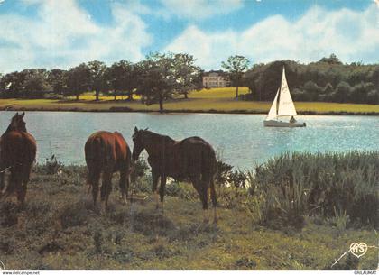 85-LA MOTHE ACHARD-N° 4422-D/0177
