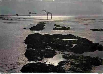 44 - La Plaine sur Mer - Coucher de soleil à la Pree sur Mer - CPM - Voir Scans Recto-Verso