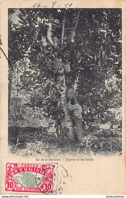 La Réunion - Jaquier et ses fruits