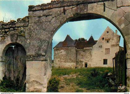 Carte Postale - 86 - La Roche Posay - Le château de Coussay les Bois aux environs de La Roche Posay - CPM - Voir Scans R