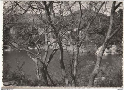 LA ROQUEBRUSSANNE - CPSM : le Lac Laoucien