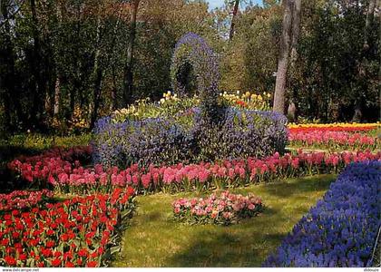 85 - La Tranche sur Mer - Les Floralies - Fleurs - CPM - Voir Scans Recto-Verso