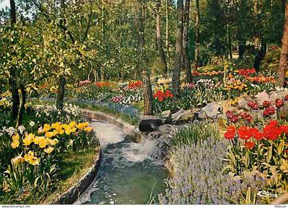 85 - La Tranche sur Mer - Les Floralies - Fleurs - CPM - Voir Scans Recto-Verso