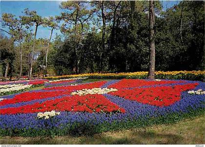 85 - La Tranche sur Mer - Les Floralies - Fleurs - CPM - Voir Scans Recto-Verso