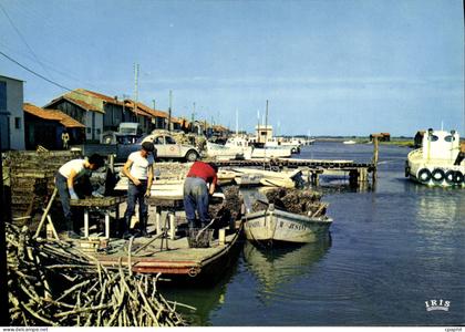 CPSM La Tremblade Le Port Scene Ostreicole triage des huitres
