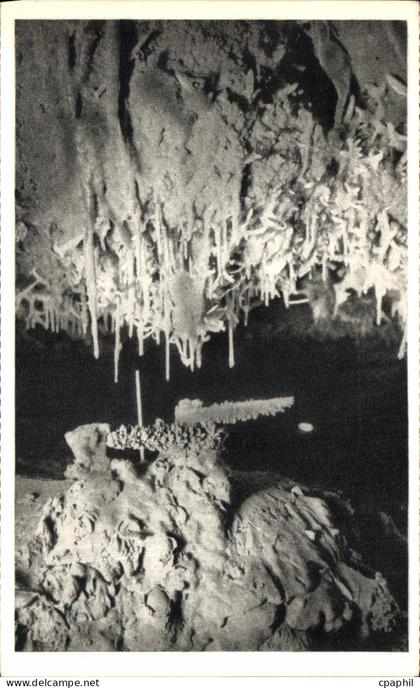 CPA Grottes de Lacave Excentriques en Lumiere Noire