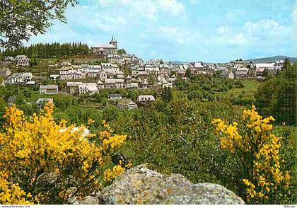 Carte Postale - 12 - Laguiole - Vue Générale - CPM - Voir Scans Recto-Verso - Poscard - Carta Postal -  Postkarte