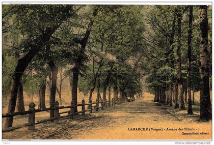 Carte Postale Ancienne de LAMARCHE