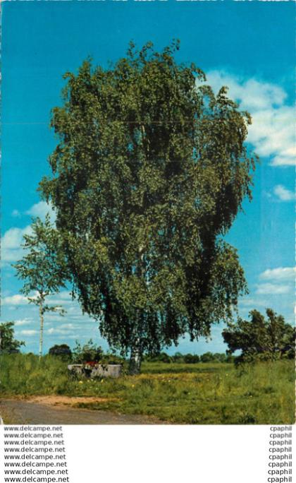 CPM Lambersart