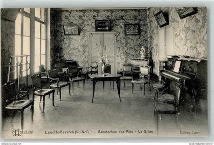 39481116 - Lamotte-Beuvron