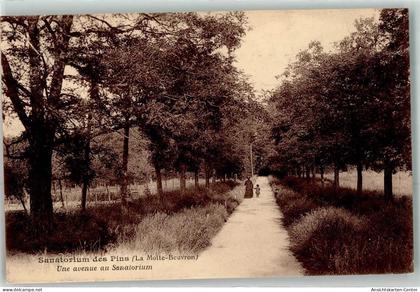 39481118 - Lamotte-Beuvron