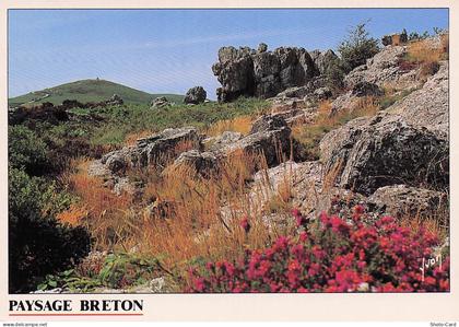 56 LANESTER PAYSAGE BRETON