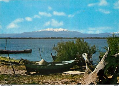 CPM Le Roussillon Des Etangs vue sur le Canigou