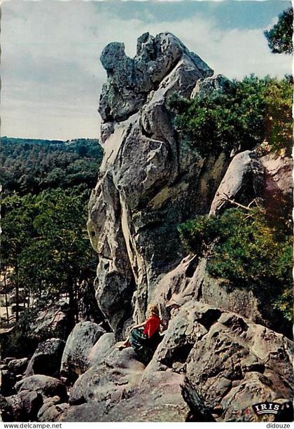 77 - Larchant - La Dame Jouanne - Curiosité Géologique - Carte Neuve - CPM - Voir Scans Recto-Verso