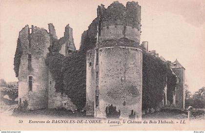53 LASSAY LES CHATEAUX CHATEAU DU BOIS THIBAULT