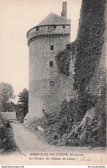 53 LASSAY LES CHATEAUX LE DONJON DU CHATEAU DE LASSAY