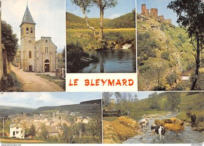 48-LE BLEYMARD-N° 4438-C/0181