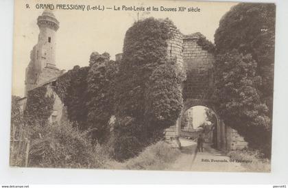 LE GRAND PRESSIGNY - Le Pont Levis et les Douves