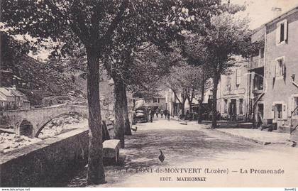 LE PONT-de-MONTVERT :  (48) La Promenade