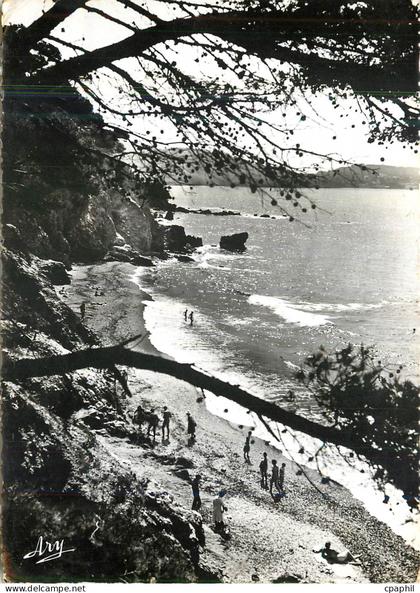 CPM le Pradet (Var) Plage des Bonnettes