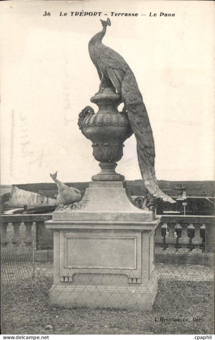 CPA Le Treport Terrasse Le Paon