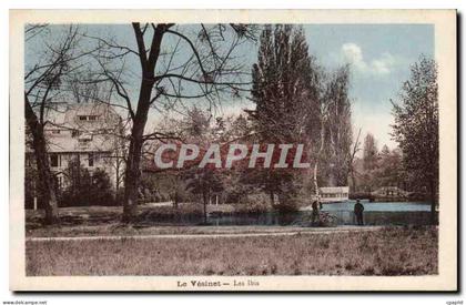 CPA Le Vesinet Les ibis
