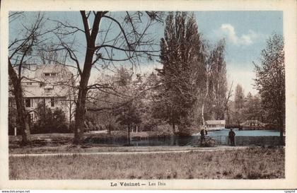 CPA Le Vesinet Les Ibis