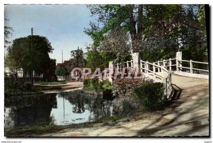 CPM Le Vesinet Bord Du Lac Des lbis Le Pont