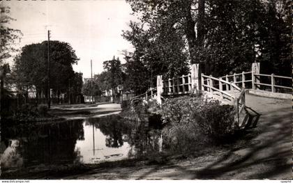 CPSM Le Vesinet Bord du Lac des Ibis Le Pont