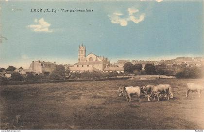 legé * vue panoramique sur la commune * pâturage