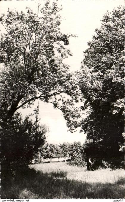CPA Betharram Le Parc