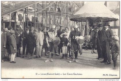cp 28 LEVES Les caves Gauloises  ( parc d'attraction A FOLTIER Manège Gaulois )  carrousel super 8