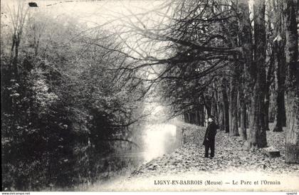 CPA Ligny En Barrois Le Parc Et I'Ornain