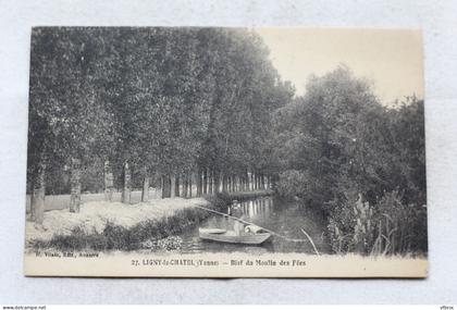 Ligny le Chatel, Bief du moulin des Fées, Yonne 89