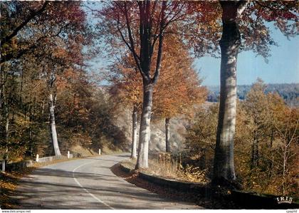 CPM Automne en Limousin