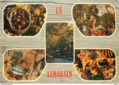CPM Le Limousin